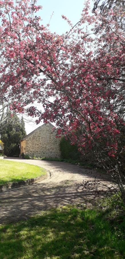 Chambres D'Hotes La Maison D'Apres Charolles Kültér fotó